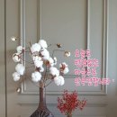 타임피아 이미지