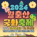 #영암월출산국화축제 이미지