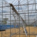 산동농장 이미지