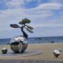 8월 29일(금) 어제는 강릉과 정선에서 있었던 일상 이야기 이미지