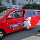 다키애견 이미지