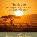 심바는 크리스마스 이미지