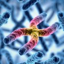 미래유전자 이미지