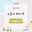 [240307] 상한가, 특징주_2차전지전고체/금융/제약바이오/CXL