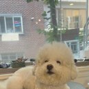 미용해·독 이미지