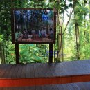 힐링건강랜드 이미지