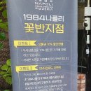 1984나폴리꽃반지점 이미지