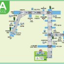 면허시험장 삼거리 이미지