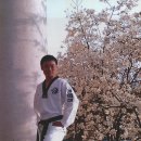 더원태권도장 이미지