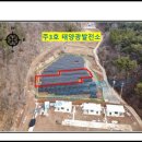 영덕시장(3호) 이미지