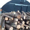 신석농장 이미지