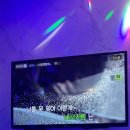둥지노래주점 이미지