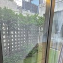 가평 미온수 추가 비용 없는 독채 풀빌라 빌라라온 102호 내돈내산 후기