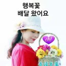 행복꽃 이미지