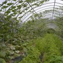 승곡마을 이미지