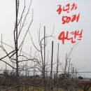 엠마누엘농장 네이버블로그