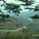 곰치농장 이미지