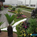 생태와대구 이미지