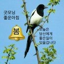 조은님