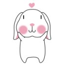 코코비나 이미지
