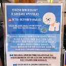 카페봄꿈 이미지