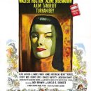 드래곤(dragon) 이미지