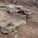 여주-0055 Daum카페