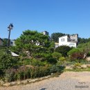 웰리스펜션 | [용인 펜션] 귀여운 댕댕이와 예쁜 정원이 있는 웰리스 펜션