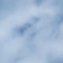 최우식노즈립성형외과의원 이미지