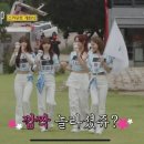 출장십오야xjyp스카우트 후기