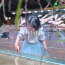 아쿠아가든카페 양재점 | 아쿠아가든 일산 수족관카페 주말 아이와 가볼만한곳 추천