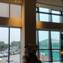 프리미어 피트니스 | 신라스테이 해운대 프리미어 더블 시티뷰 내돈내산 후기(+피트니스 센터) | 부산 헬스장 호텔