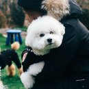 멍스토리 이미지