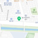 꽃대나리로L 이미지