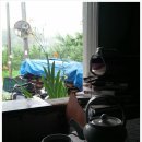 술마시기좋은날 이미지