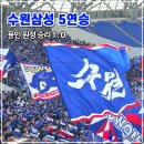 11620-0-61-2 | K리그2 수원삼성 용인 원정 5연승 직관 후기