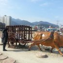 당항 이미지
