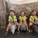 버클리어린이집 이미지