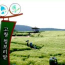 콜핑부산 이미지