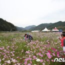구룡천1 뉴스1