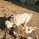 달맞이농장 이미지