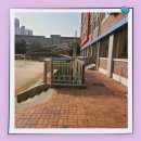 선운초등학교 이미지