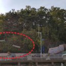 입장진입로 이미지