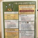 가평 글램핑 숙소 추천 / 가성비 숙소 산마을 글램핑 다녀온 후기