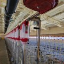 대식농장 이미지