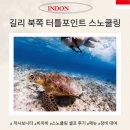 터틀짐(Turtle Gym) | 길리 트라왕안 거북이 스노쿨링 터틀포인트 카페 (장비 O, 샤워 O)