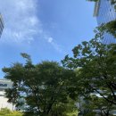 센텀필(1차), 센텀필(2차) | 코로나 화이자 백신 1차 접종 후기(29,여자)