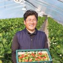 김상수 농장 이미지