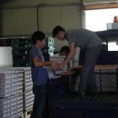 김영식농장 이미지