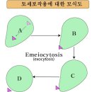 경희75한의원 이미지